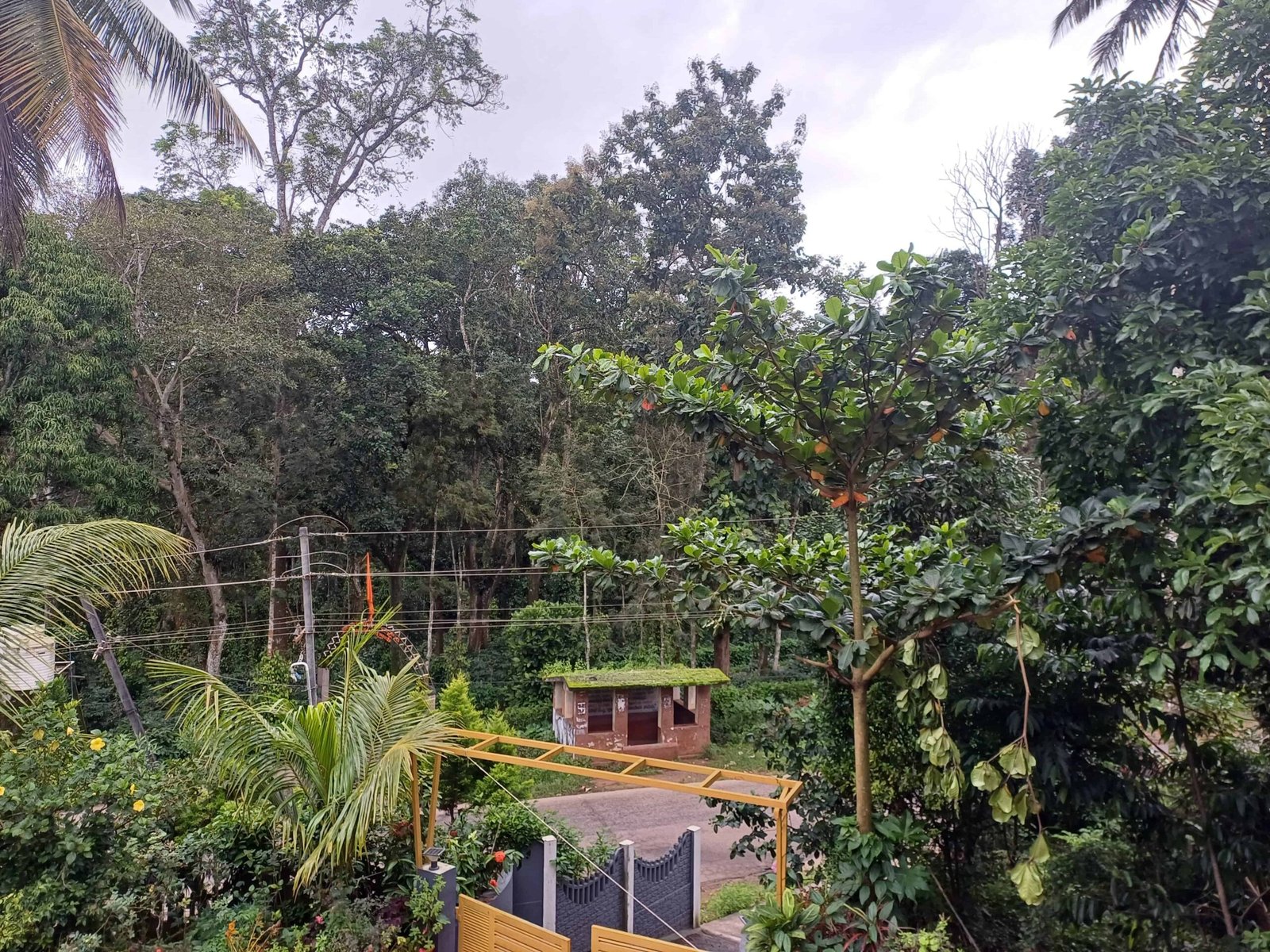 IMG-20240729-WA0038(1)